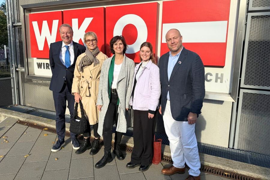 Das Aktionsnetzwerk und die WKO haben zusammen ein Weiterbildungsangebot für Kulturinstitutionen und Kulturschaffende aus Österreich entwickelt